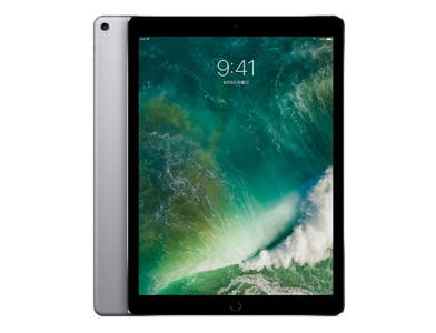 【訳あり特殊型番】Apple iPadPro 12.9インチ スペースグレイ